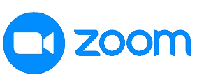 Zoom Icon